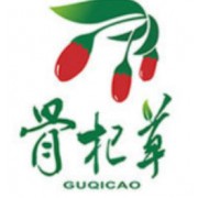 宁夏中宁县骨杞草枸杞开发有限公司